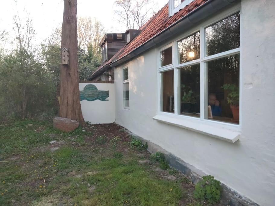 Vogelvrij Vierhuizen Exterior foto
